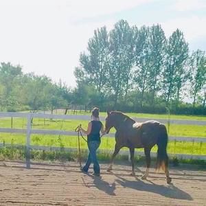 Meet your Posher, Stacy